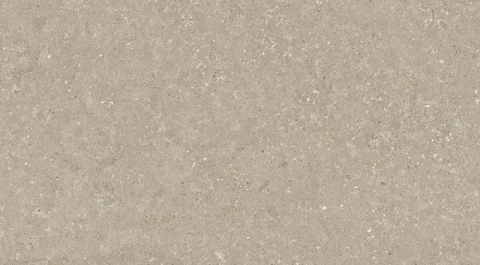 Gresie Wild HWD 11 Oyster 30x60 cm