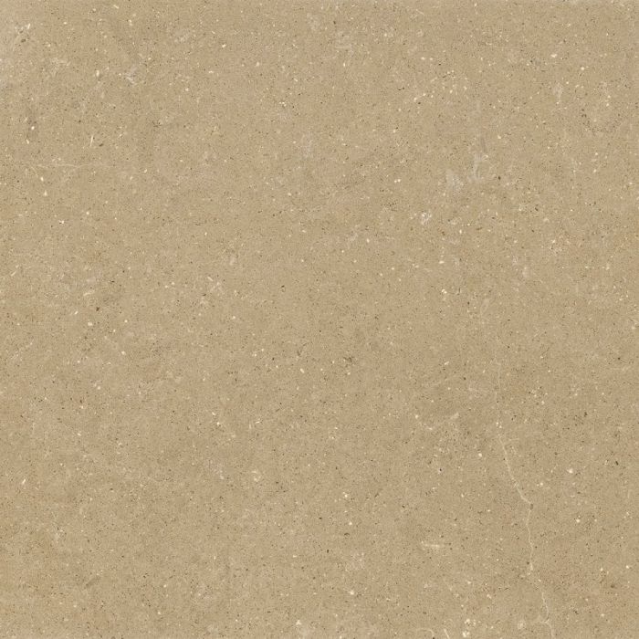 Gresie Wild HWD 1 Amber 120x120 cm