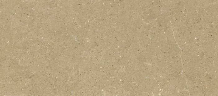 Gresie Wild HWD 1 Amber 60x120 cm