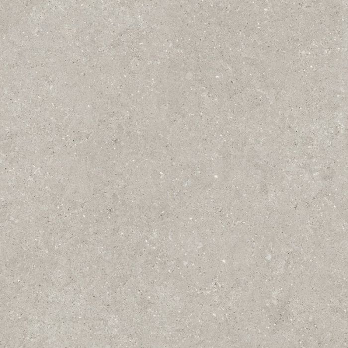 Gresie Wild HWD 5 Grey 120x120 cm