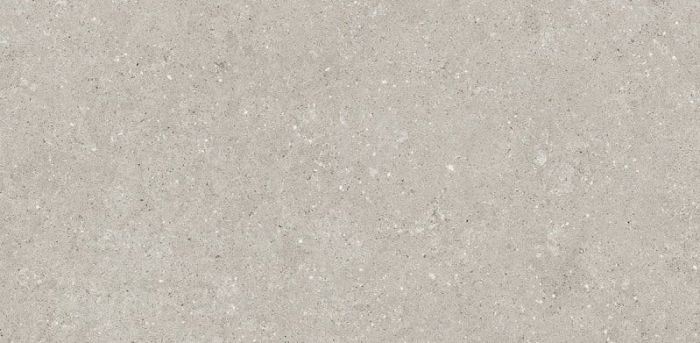 Gresie Wild HWD 5 Grey 30x60 cm