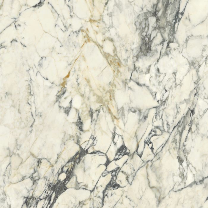 Gresie Portelanata HPM 10 Paonazzo Lucios 60x60 cm