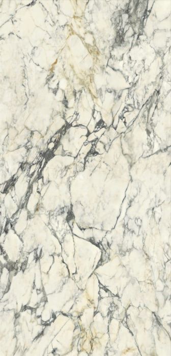 Lastra Gresie Portelanata HPM 10 Paonazzo Lucios 120x278 cm