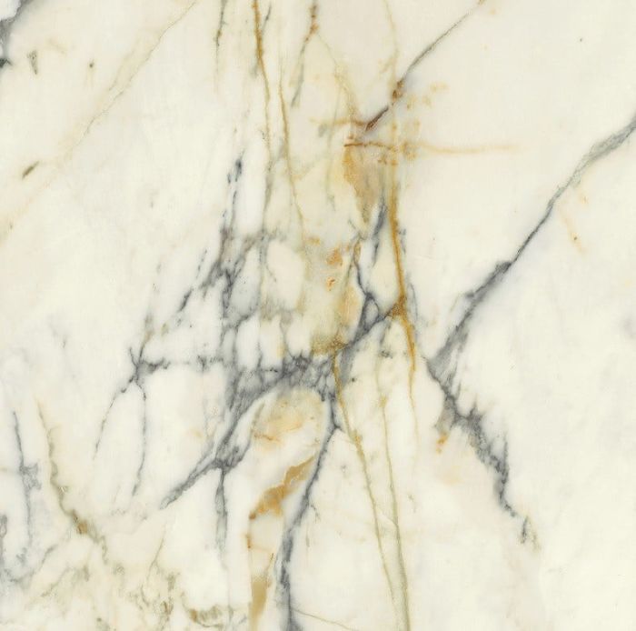 Gresie Portelanata HPM 10 Paonazzo Lucios 120x120 cm