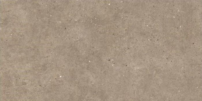 Gresie Silver Grain Taupe mat 60x120 cm