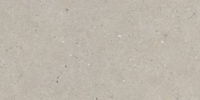 Gresie de exterior Silver Grain Taupe Antislip 60x120x2 cm