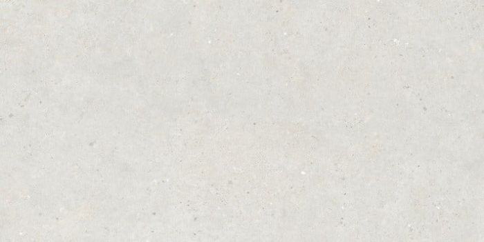 Gresie Silver Grain White Mat 60x120 cm
