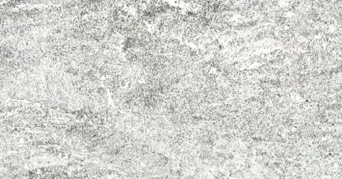 Gresie Stone Plan Vals Bianca 60x120