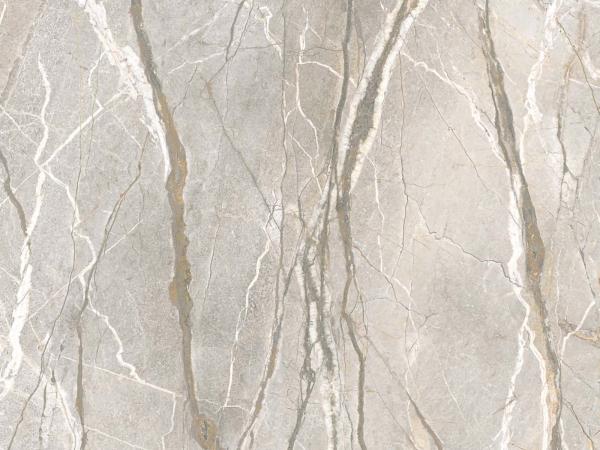 Silver Roots