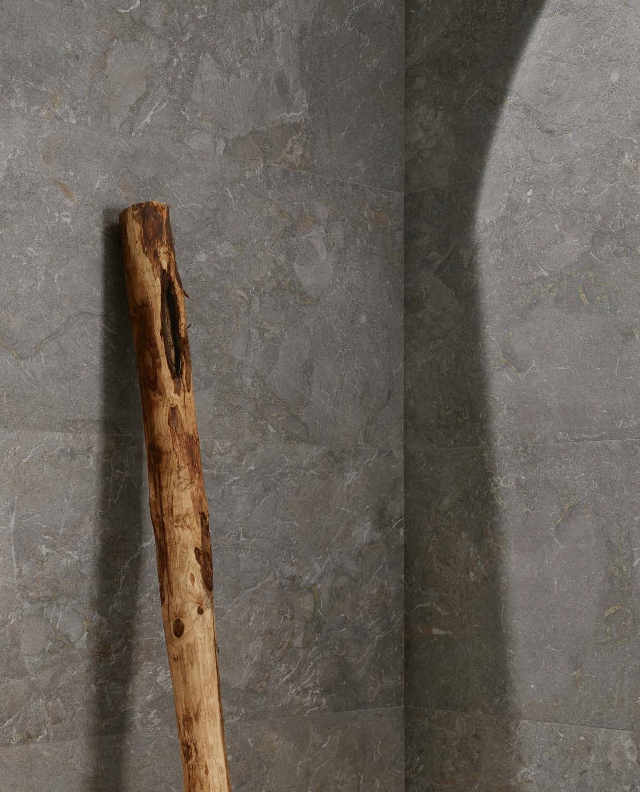 Ambient cu piatră gri și lemn | Inspirație Baie Modern