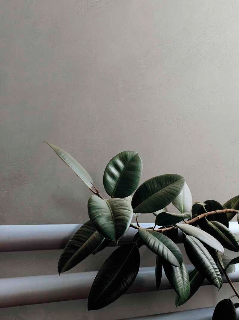 Ambient minimalist cu accente verzi | Inspirație Baie Minimalist