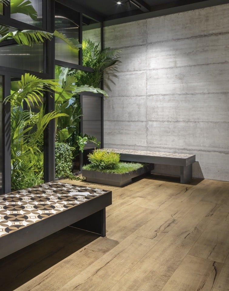Hol urban cu natură vie | Inspirație Terasă Modern
