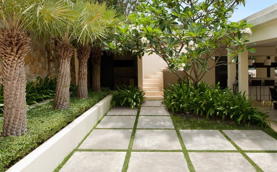 Curte tropicală cu accente minimaliste | Inspirație Terasă Modern