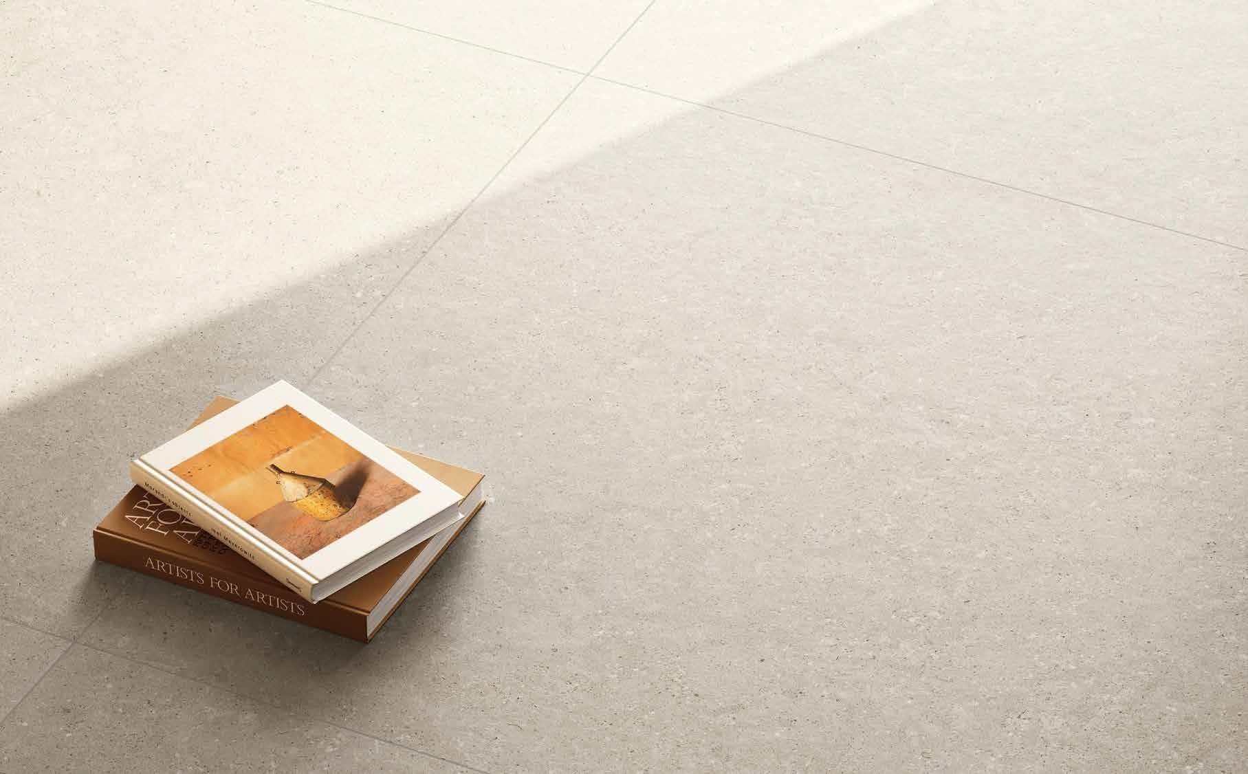 Living minimalist cu lumină naturală | Inspirație Baie Modern